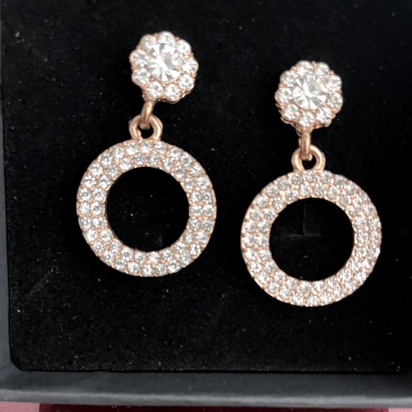 NWOT: Sophisticated Drop Earrings! - Picture 1 of 3
